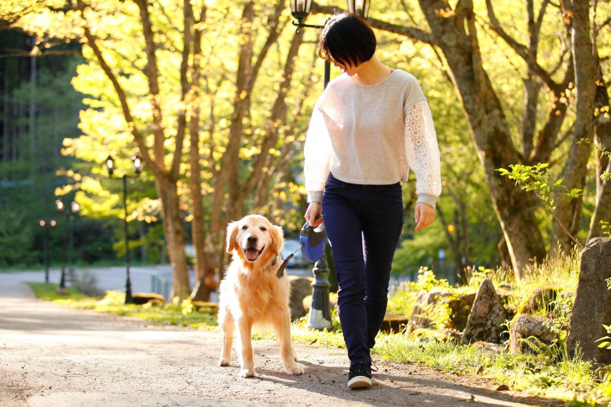 Izumigo Takayama Dog Paradise Hotel Buitenkant foto