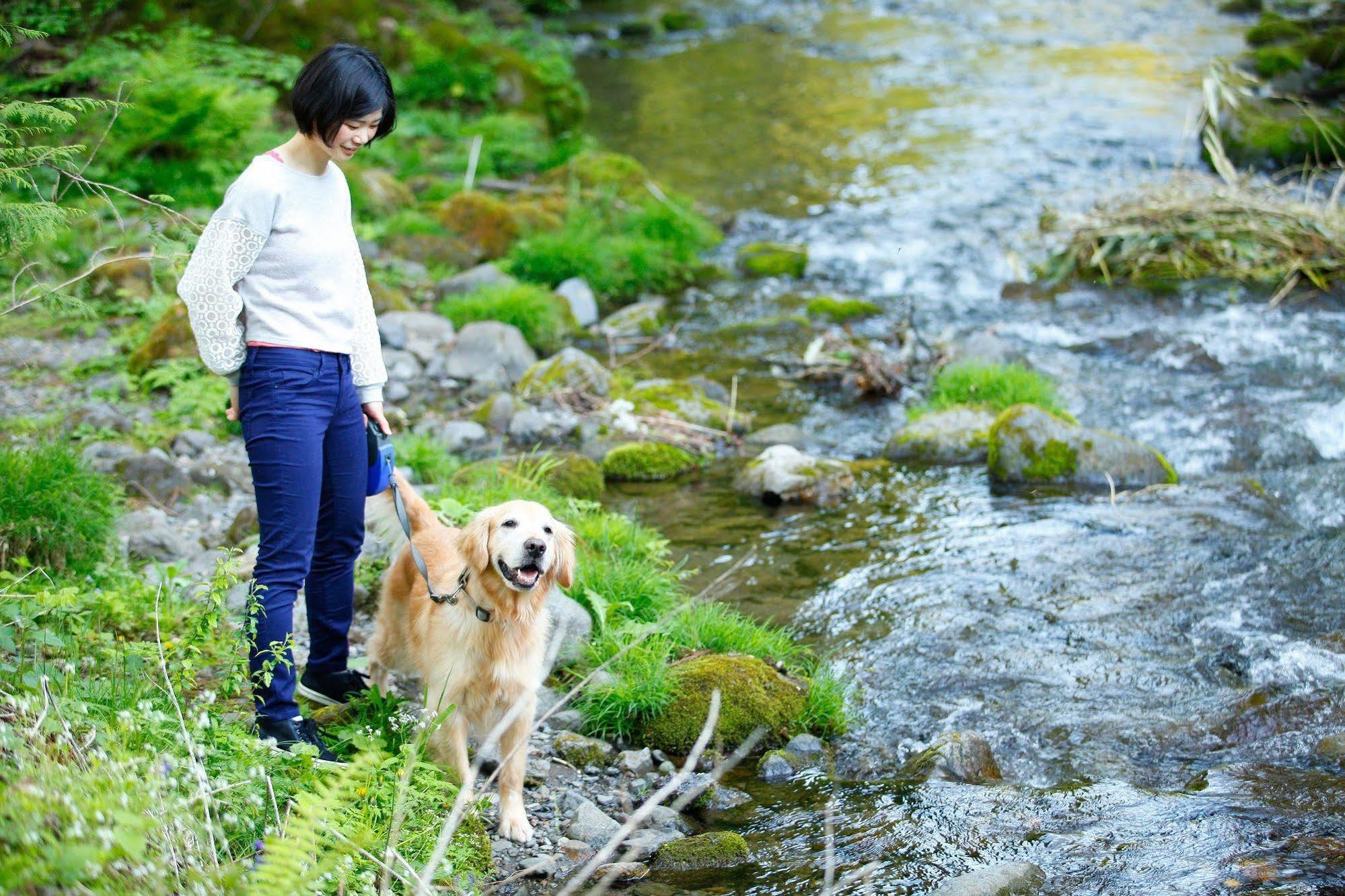 Izumigo Takayama Dog Paradise Hotel Buitenkant foto