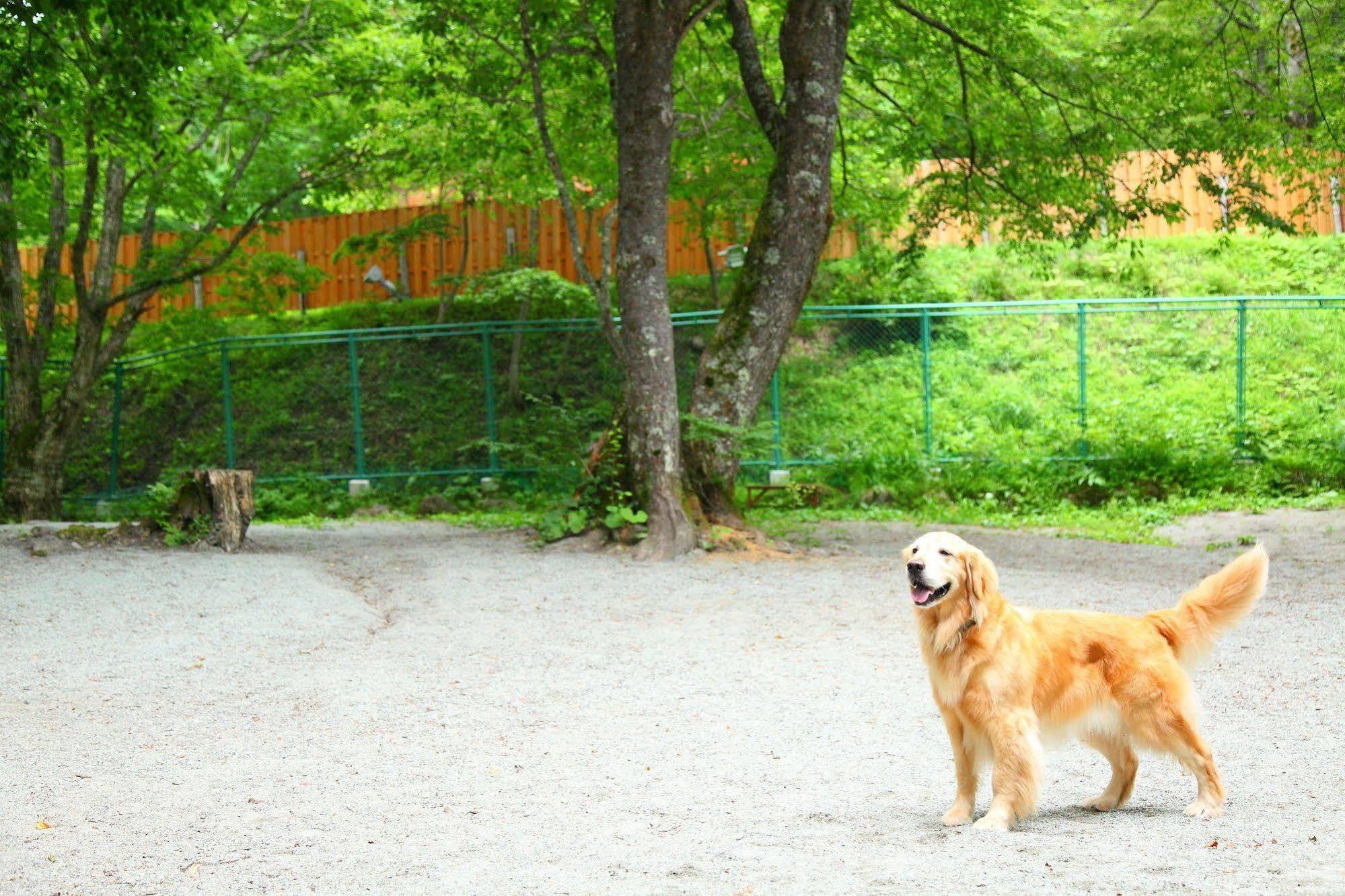 Izumigo Takayama Dog Paradise Hotel Buitenkant foto